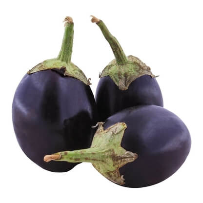 Brinjal