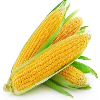 Corn