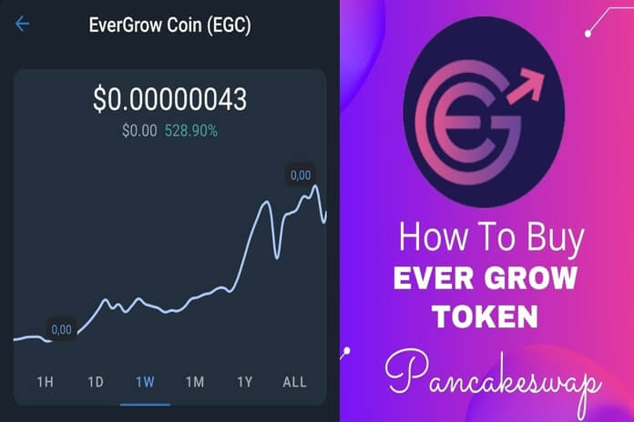 How Much will EverGrow Coin be Worth