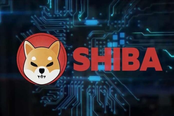 Will Shiba Inu Price Go Up?