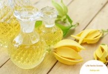 Benefits of Ylang Ylang Oil