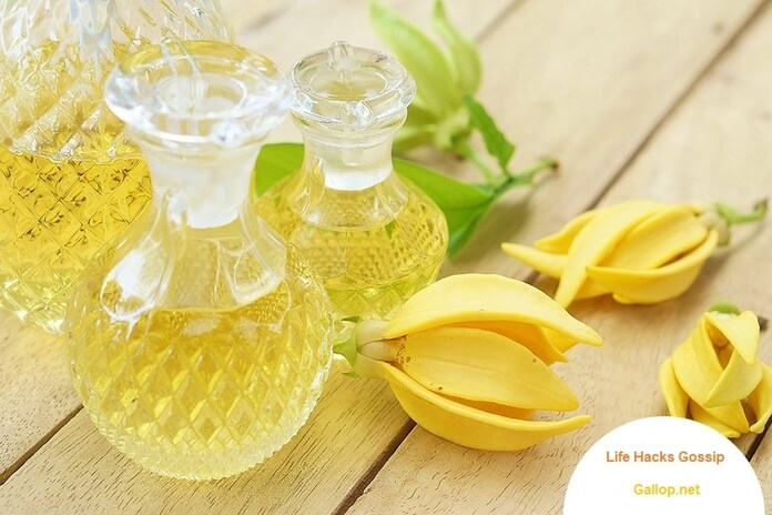 Benefits of Ylang Ylang Oil