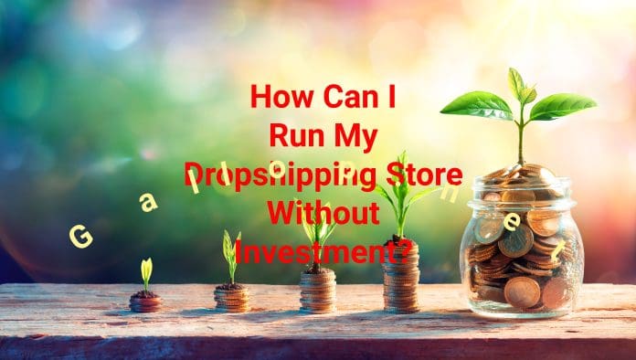 How Can I Run My Dropshipping Store Without Investment?